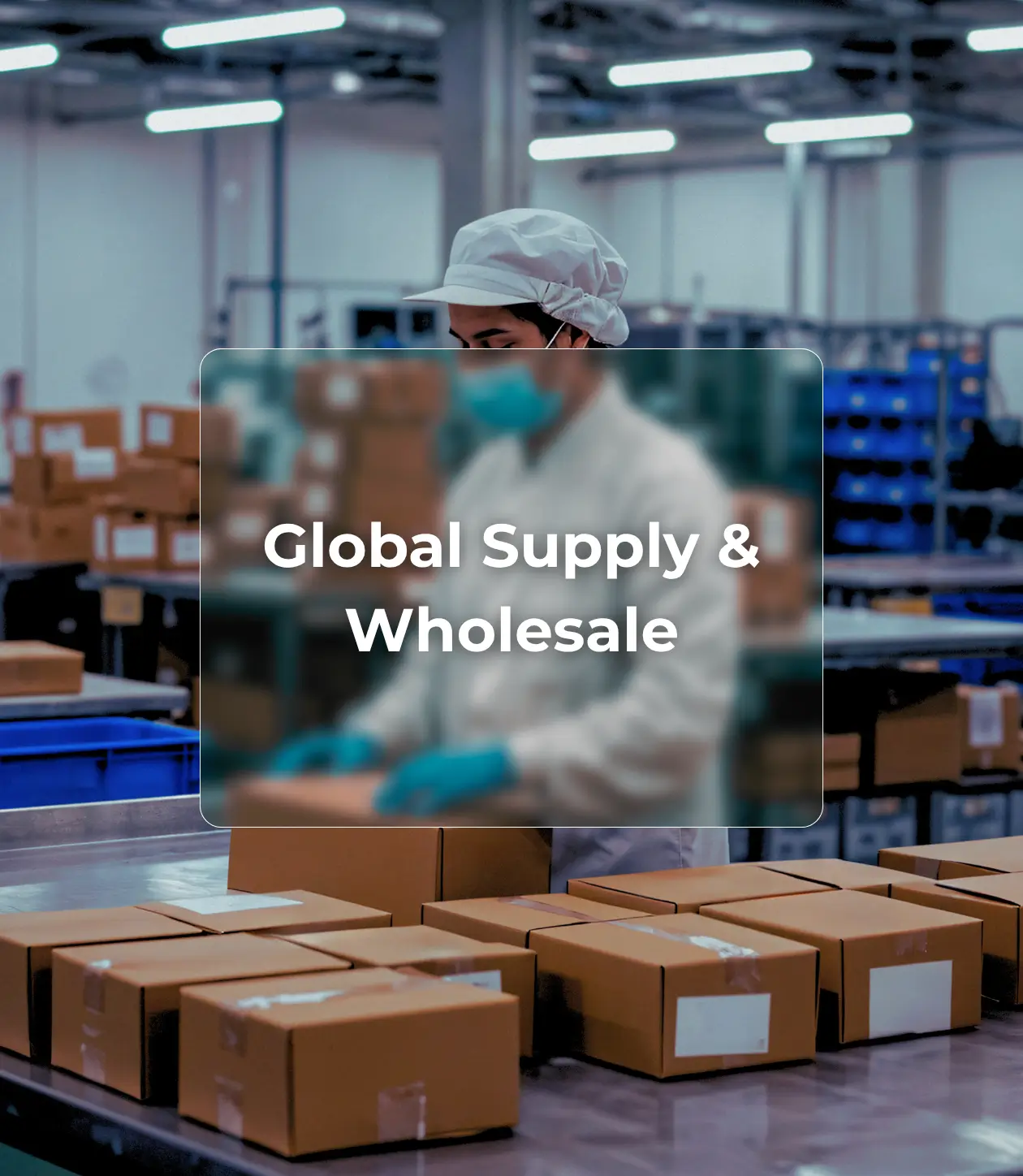 SGL Global Supply & Wholesale