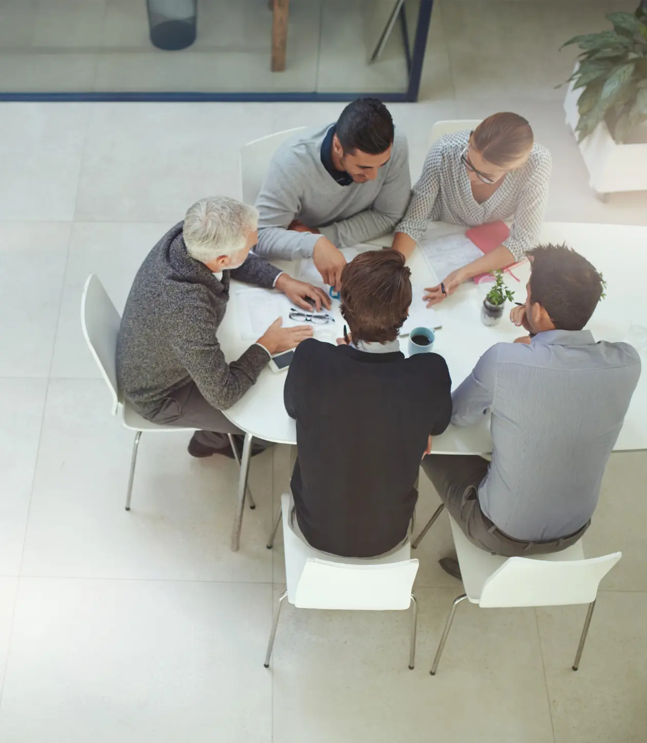 Sierra Global Ltd our experience